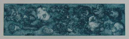 Coral I