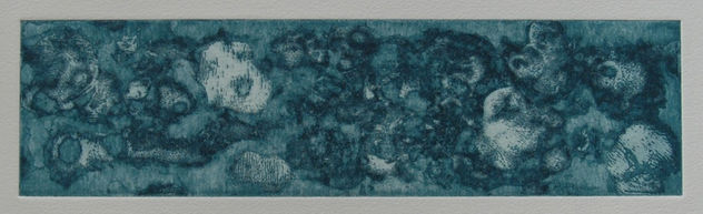 Coral I