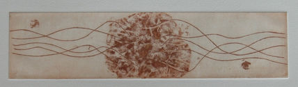 Coral II