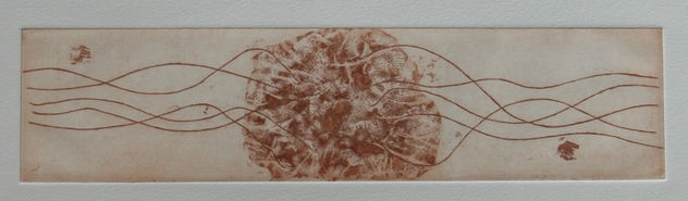 Coral II