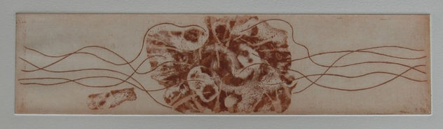 Coral III