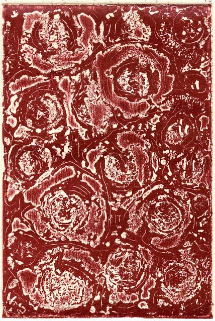 Rosa Rosae