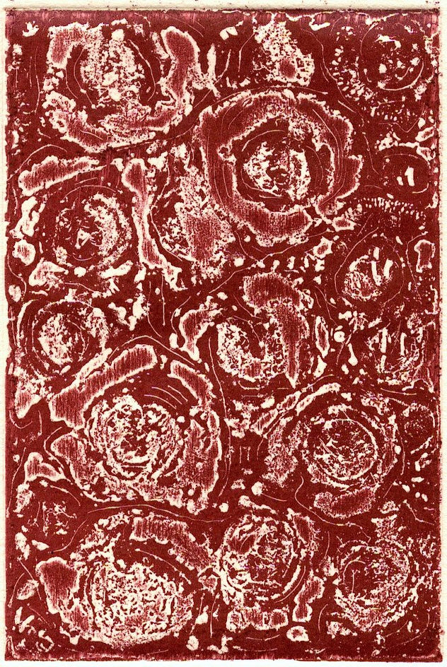 Rosa Rosae