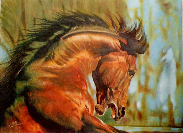 fuerza caballa Oil Canvas Animals