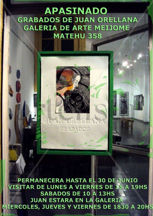 MUESTRA INDIVIDUAL EN GALERIA DE ARTE MEIJOM