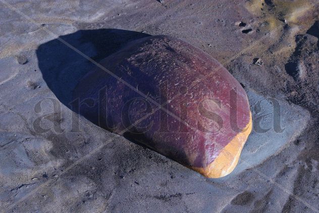 Roca viva_16