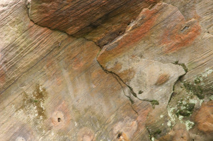 Roca viva_19