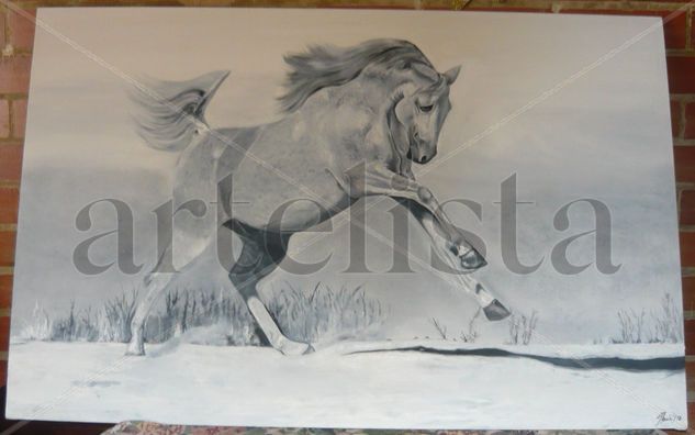 Caballo en grises Oil Canvas Animals