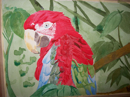 Guacamaya (Ara macao)