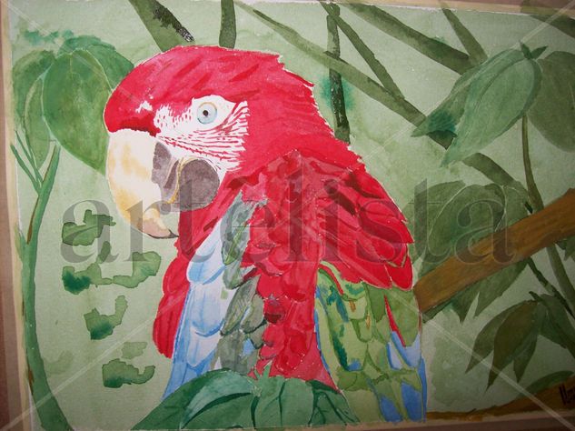 Guacamaya (Ara macao) Acuarela Papel Animales