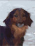 CUCA