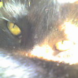[FOTOGRAFIANDO] thumbnail 1