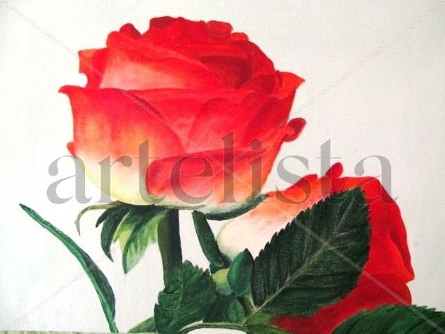 Boton de rosas 3 Oil Canvas Floral Painting