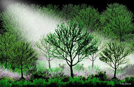 Bosque encantado