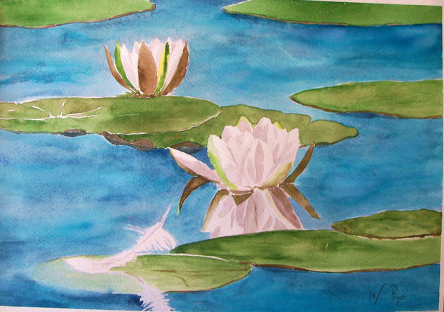 nenufares blancos Watercolour Paper Floral Painting