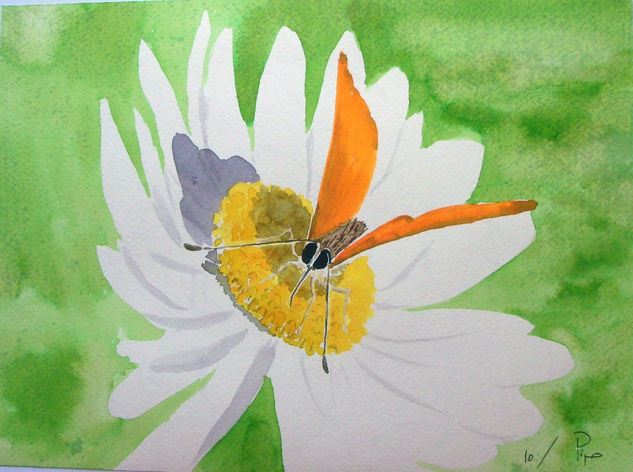 mariposa y margarita Watercolour Paper Floral Painting