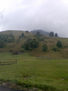 el campo