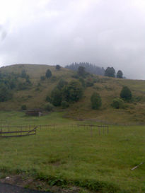 El campo