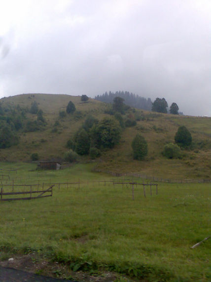 El campo
