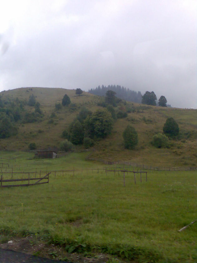 el campo