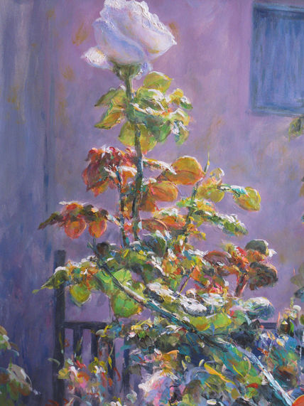 Rosa Luminosa
