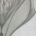 Dibujos c lapiz thumbnail 1