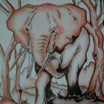 Especies thumbnail 2