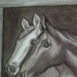 Especies thumbnail 1
