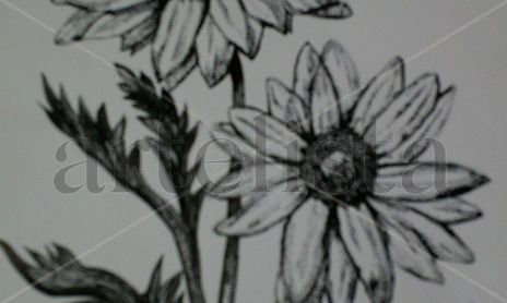 Naturaleza