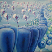 obra