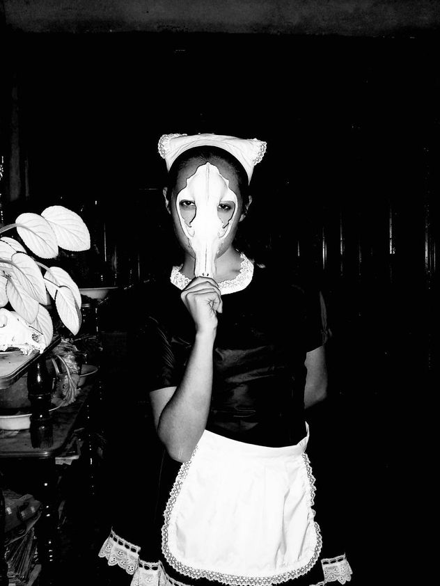 LA GATA CON ANTIFAZ