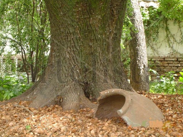 Otoño ¿rotura de los sueños? 