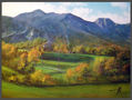 PAISAJE EN MAYO