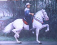 Caballista Tico