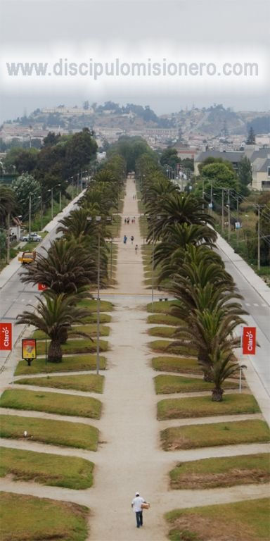 Caminante, se hace...