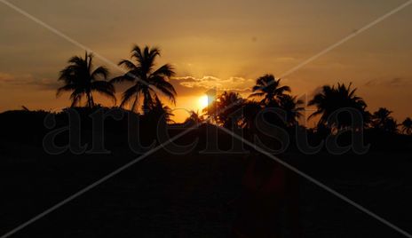 Sol, palmeras... Cuba
