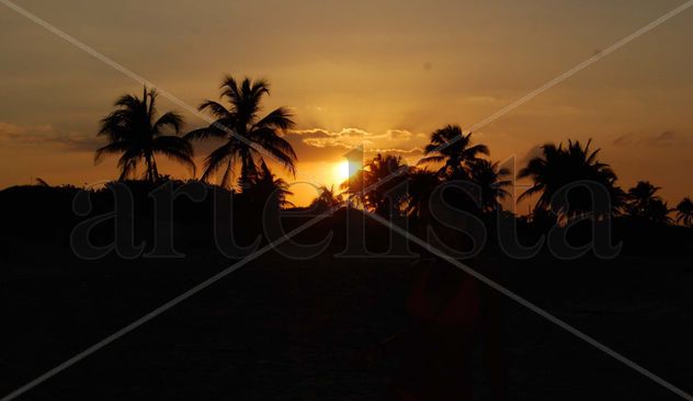 Sol, palmeras... Cuba
