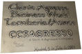 PLACA CONGRESO 36