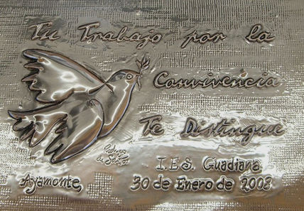 Placa congreso 43