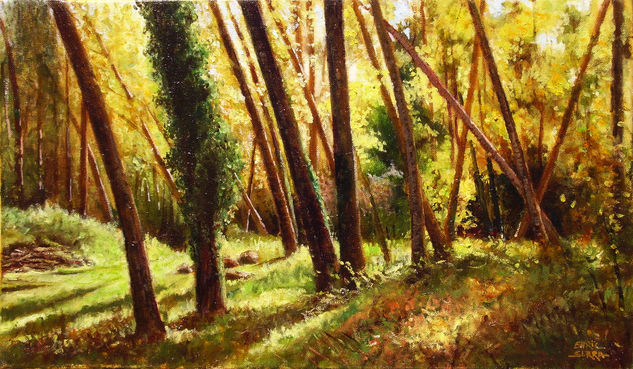 Chopos en Benitandús / Popplars in Benitandús Oil Canvas Landscaping