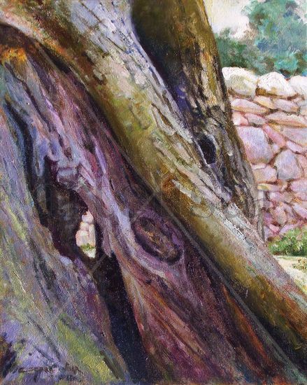 Tronco de Olivo / Olive tree trunk. Oil Canvas Landscaping