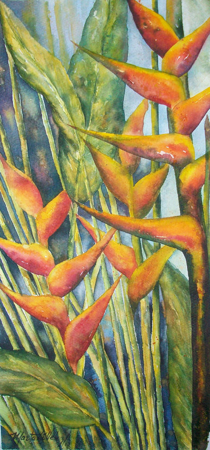 Fuerza del Color