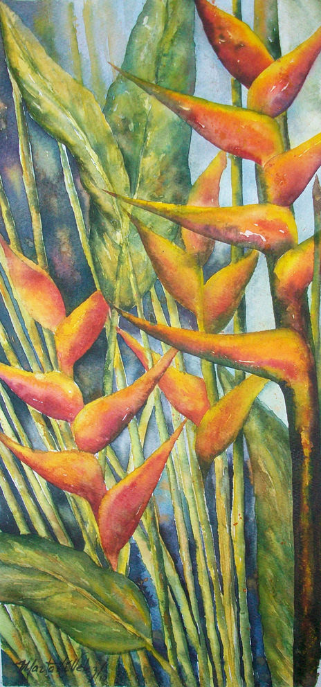 Fuerza del Color
