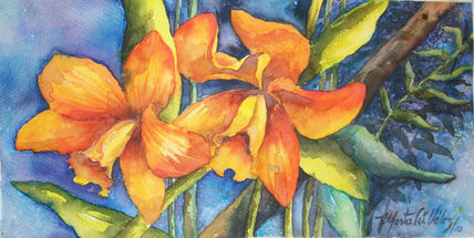 Flores Nativas