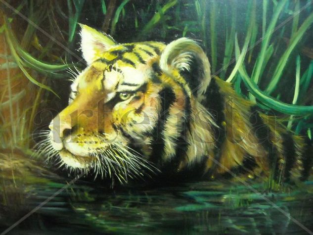 selva Oil Canvas Animals