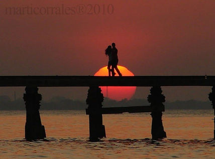 Amor sobre el...
