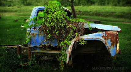 Macetera automotriz