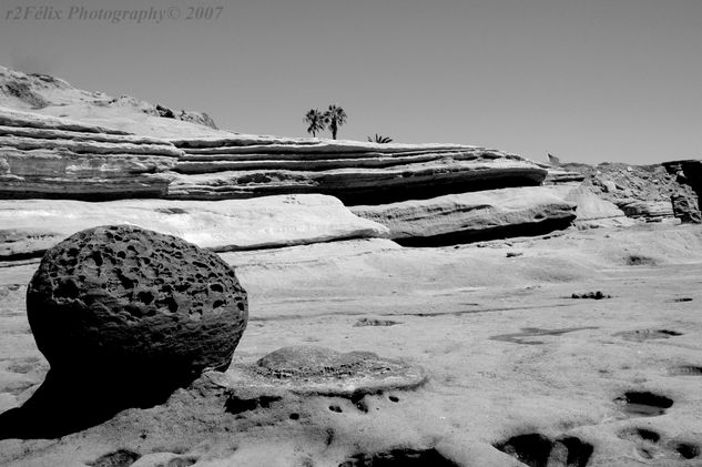 Life On Mars Conceptual/Abstract Black and White (Digital)