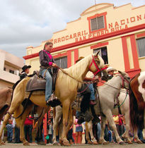 Desfile de jinetes...