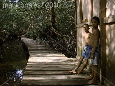 Niños sobre pequeño...
